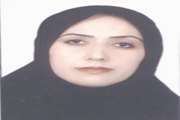 کشف و معدوم سازی بیش از 140 کیلوگرم شنیسل مرغ فاسد