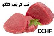 تمامی کشتارگاههای صنعتی دام استان قزوین مجهز به پیش سردکن می باشند.
