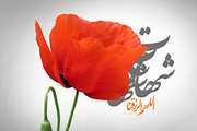 به یاد همکار شهیدمان در اداره کل دامپزشکی کرمانشاه 