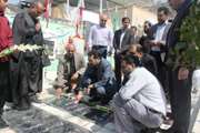 معدوم سازی 152 کارتن تخم مرغ غیر مجاز در قزوین