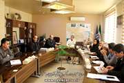 نظارت دامپزشکی تاکستان بر جمع آوری و ضدعفونی تلفات طیور 
