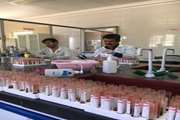 تست دامهای شهرستان تاکستان برای جداسازی دامهای مبتلا به بیماریهای مشترک