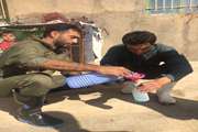 واکسیناسیون طیور بومی مناطق روستایی شهرستان تاکستان علیه نیوکاسل آغاز شد