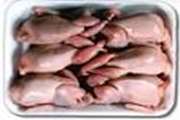 صادرات اولین محموله گوشت بلدرچین از قزوین