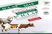 دامپزشکی قزوین اطلاع رسانی ونصب بنر آموزشی بیماری CCHF را در دستور کار خود دارد