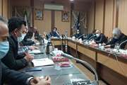 پایش جدی آنفلوانزای فوق حاد پرندگان در دستور کار دامپزشکی قزوین است