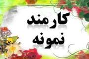 سید مرتضی حسینی به عنوان کارمند نمونه ملی در دامپزشکی انتخاب شد