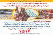 تشدید نظارت بهداشتی بر مراکز عرضه فراورده های خام دامی در شهرستان قزوین
