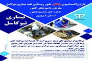 آغاز فاز هشتم واکسیناسیون رایگان طیوربومی علیه بیماری نیوکاسل در استان قزوین