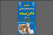 تجهیز مراکز عرضه و ذبح دام توسط اداره کل دامپزشکی قزوین
