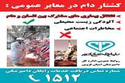 توصیه دامپزشکی قزوین در ایام محرم برعدم کشتار دام در معابر عمومی