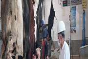آزمون جذب محدود ناظران شرعی در کشتارگاه‌ها و مراکز صیادی وعمل آوری داخل  کشور