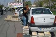 جمع آوری دست فروشان تخم مرغ توسط دامپزشکی قزوین