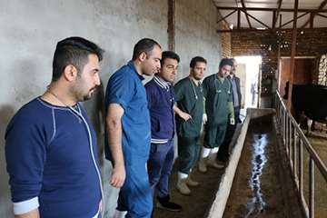 دومین مرحله خدمات رایگان دامپزشکی و ترویجی در روستای کنشکین شهرستان تاکستان