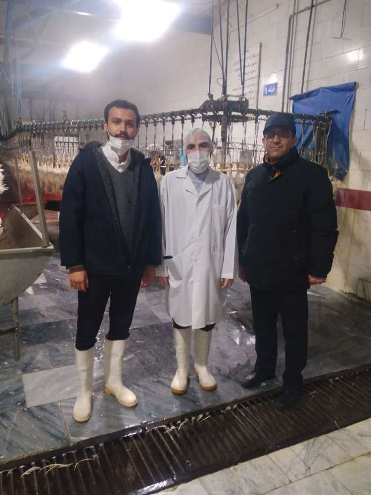 کشتارگاههای طیور تحت نظارت شرعی است