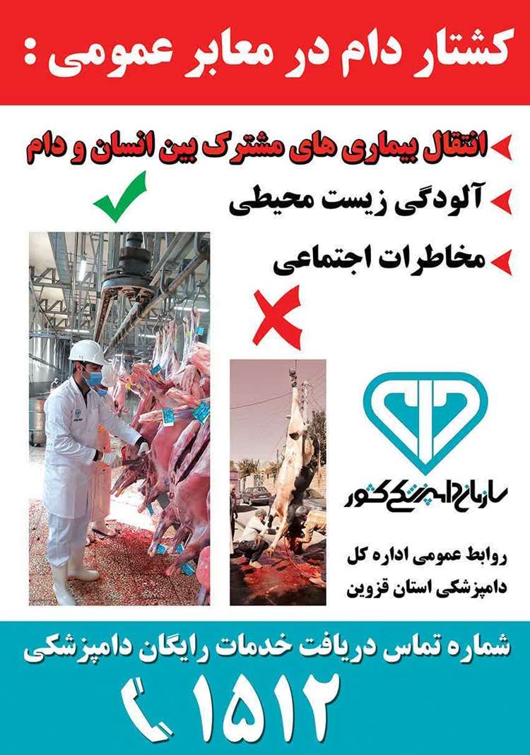 توصیه دامپزشکی قزوین  در ایام محرم برعدم کشتار دام در معابر عمومی