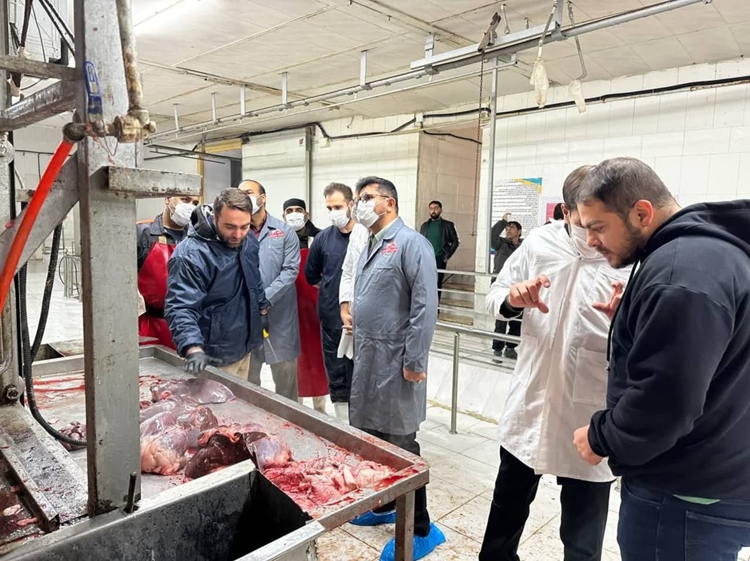 بازدید دادستان تاکستان از کشتارگاه دام 