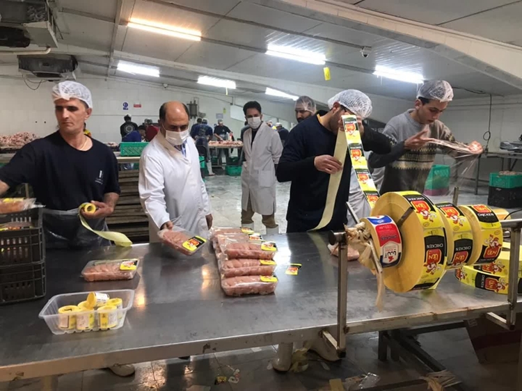 کنترل و بازدید مراکز بسته بندی مرغ در کشتارگاه های طیور